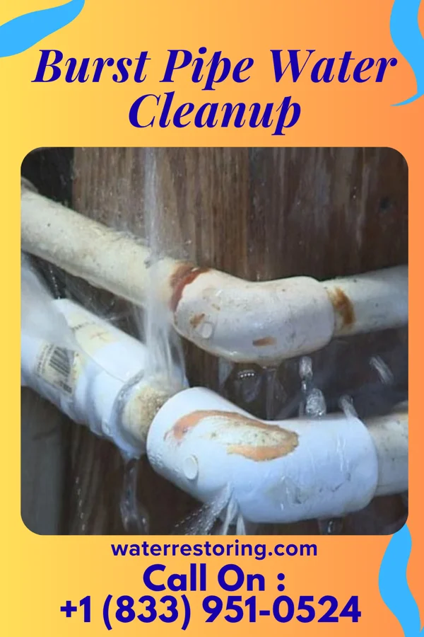 Burst Pipe Water Cleanup in Hayes Center, NE