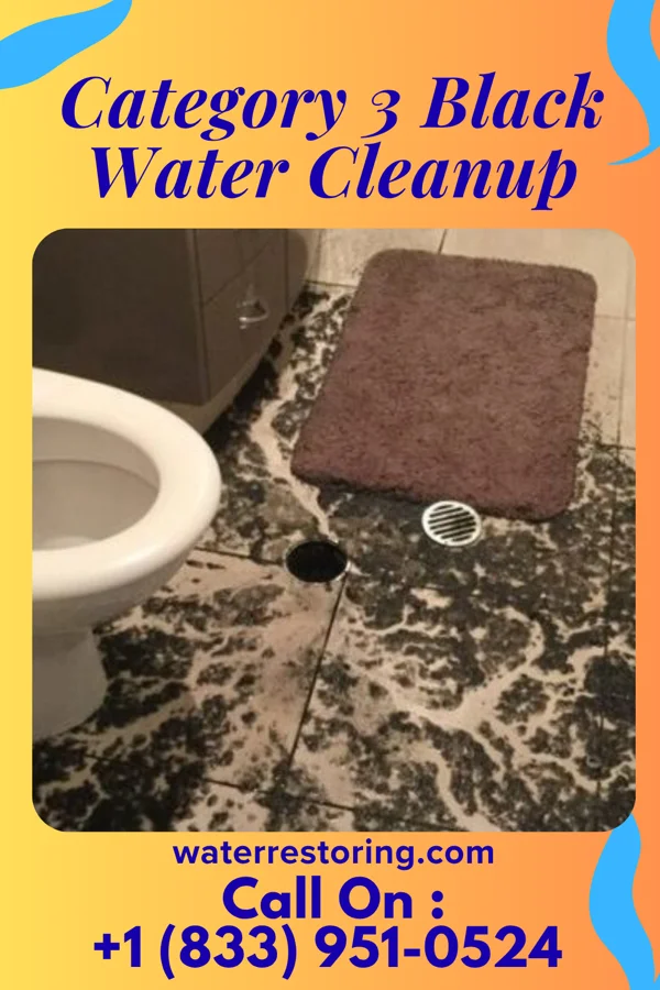 Category 3 Black Water Cleanup in Hayes Center, NE