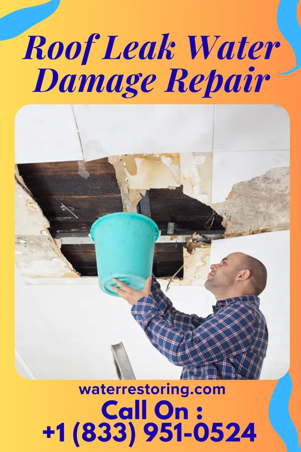Roof Leak Water Damage Repair in Hayes Center, NE